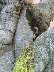 Centro de Arte La Estancia