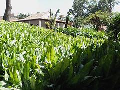 Centro de Arte La Estancia