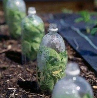 c92115948670b683ae33bbfb2169602c-001