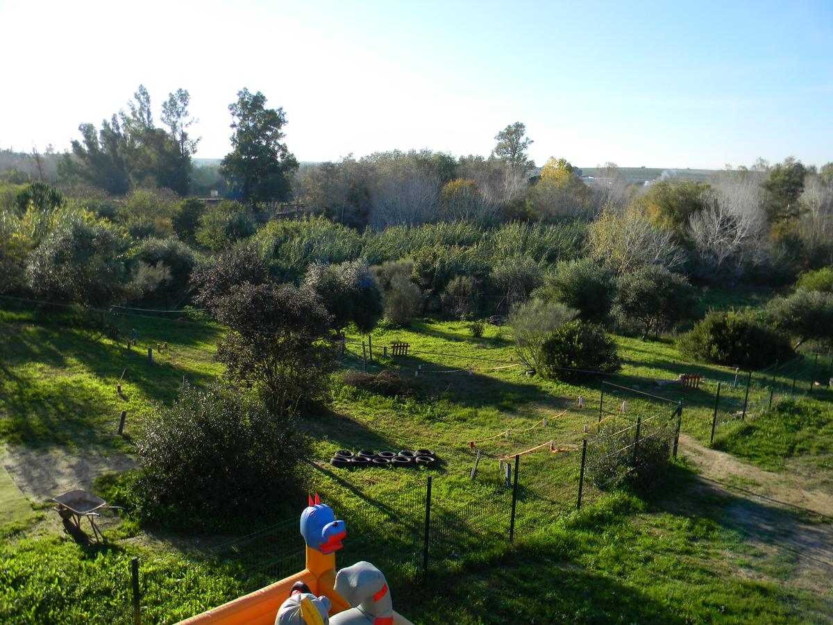 JARDIN CENTRO VISITANTES GUADIAMAR