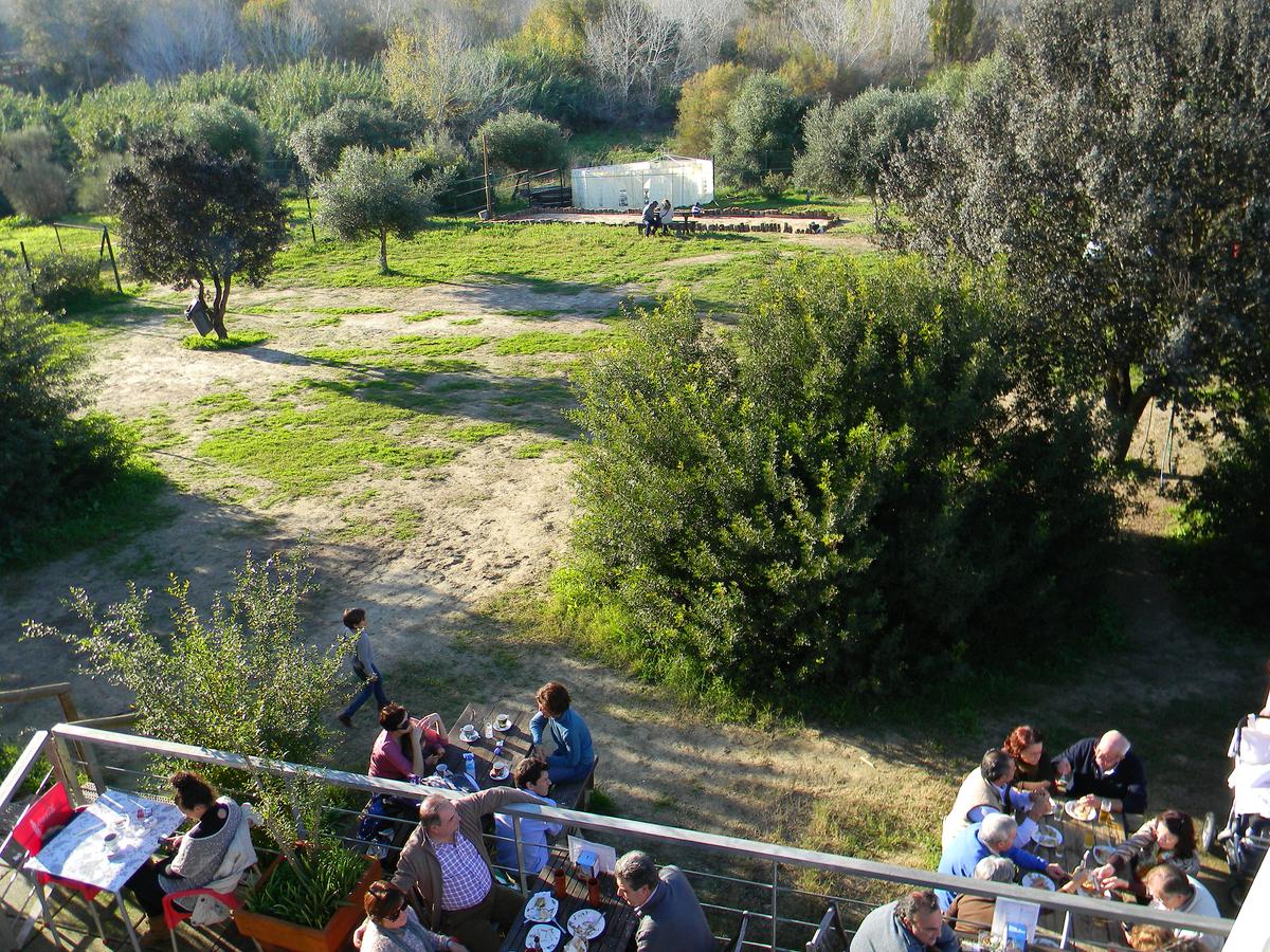 JARDIN CENTRO VISITANTES GUADIAMAR