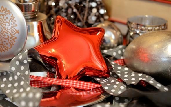 poinsettia-490853_640