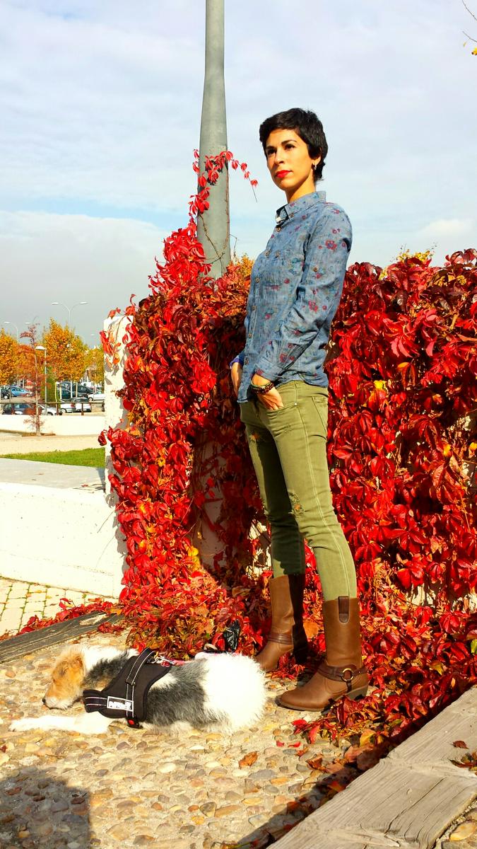 Paseando a Miss Abril