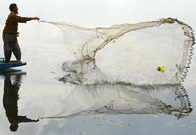 acuicultura-sostenible-opcion-seguridad-alimentaria_3_2107766