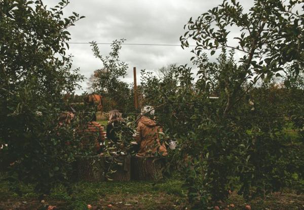 brunch_campo_evento_decoracion_blog_ana_pla_interiorismo_decoracion_11