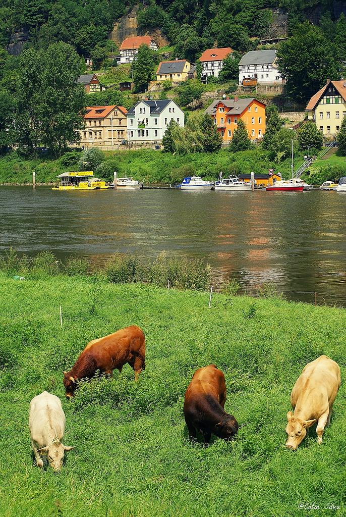 Ruta en bici - Frontera Alemania con Republica Checa (3)