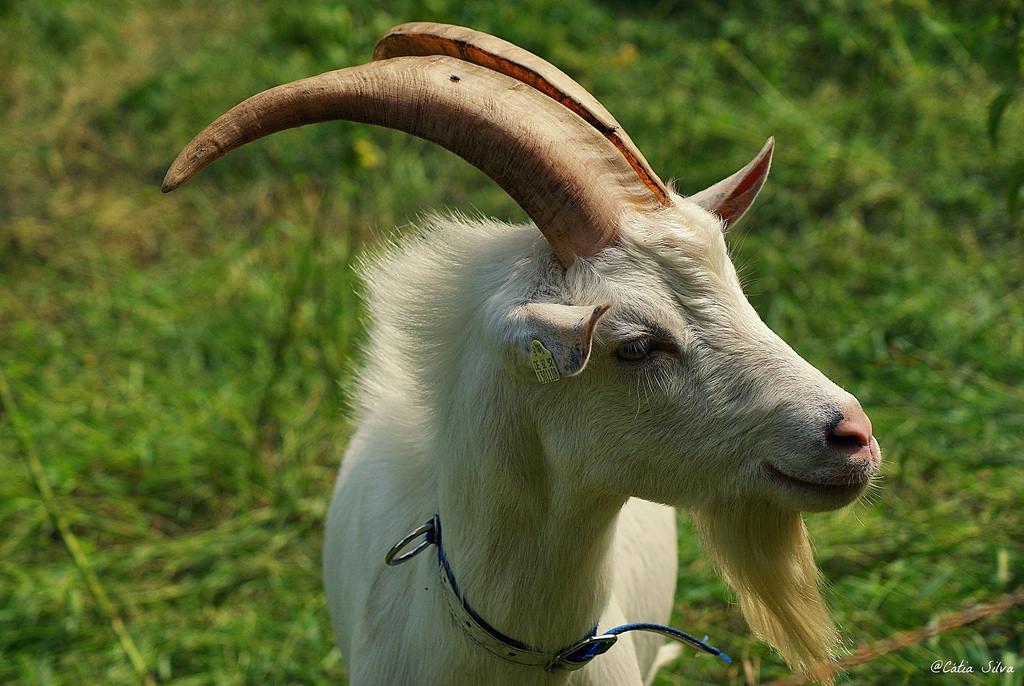 Ruta en bici - Frontera Alemania con Republica Checa (6)