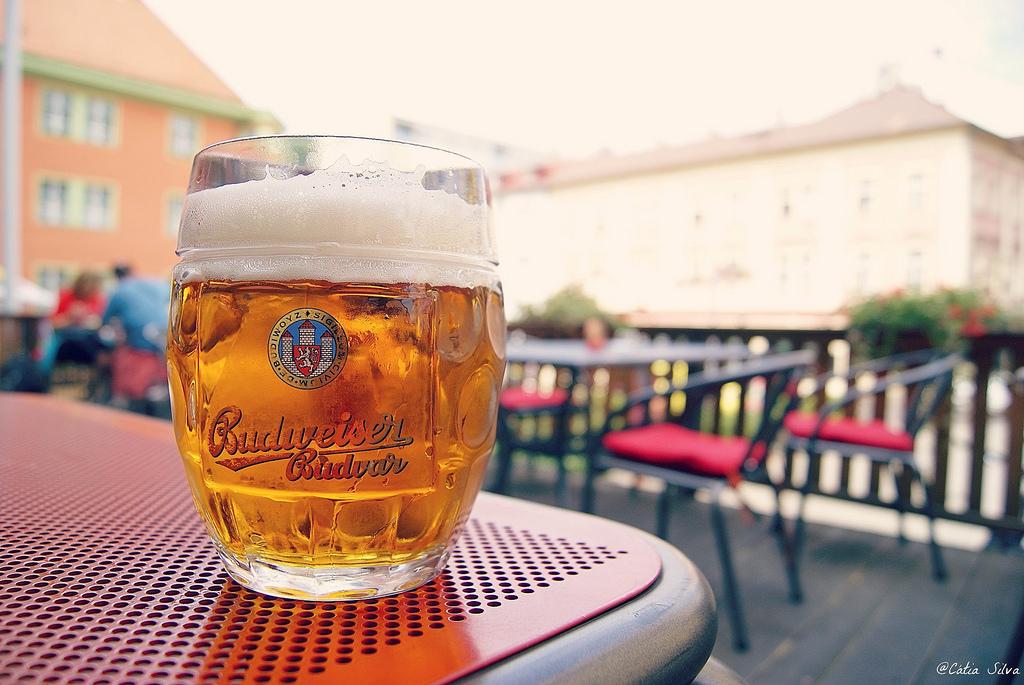 Ruta en bici - Frontera Alemania con Republica Checa (13)