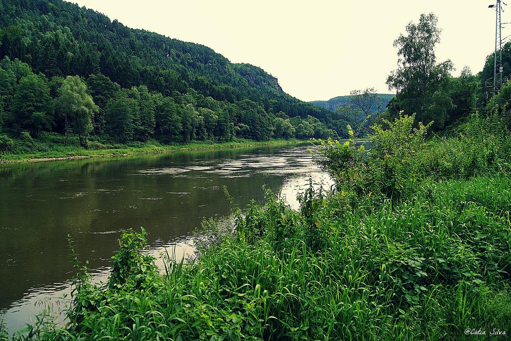 Ruta en bici - Frontera Alemania con Republica Checa (16)