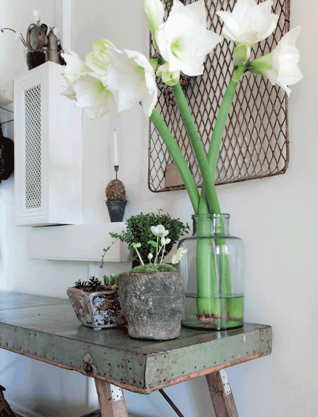 05-decoracion-navideña-en-blanco