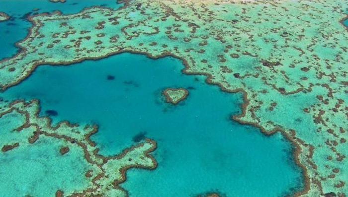 3 Documentales imprescindibles. Home | Esturirafi