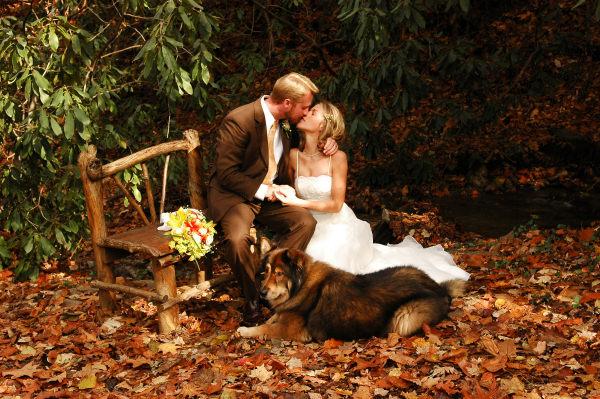 Las Ventajas de Organizar tu Boda en Otoño