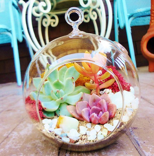 Terrarium_2