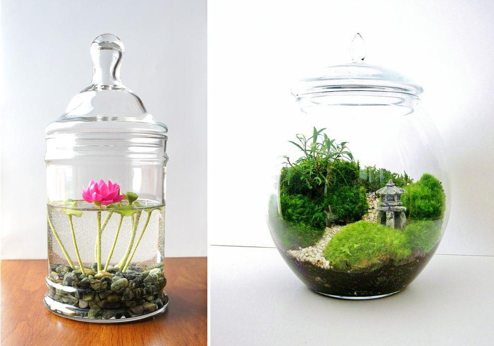 Terrarium_7