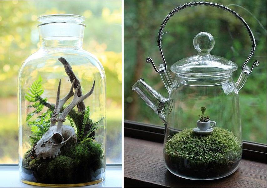 Terrarium_9