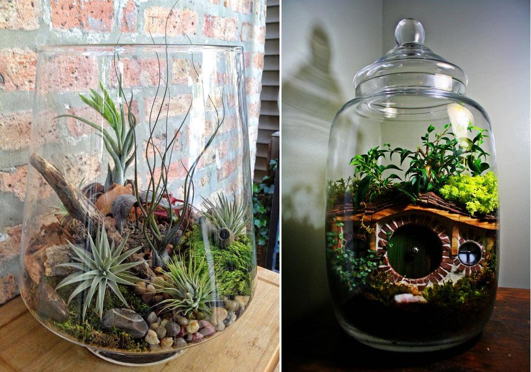 Terrarium_12