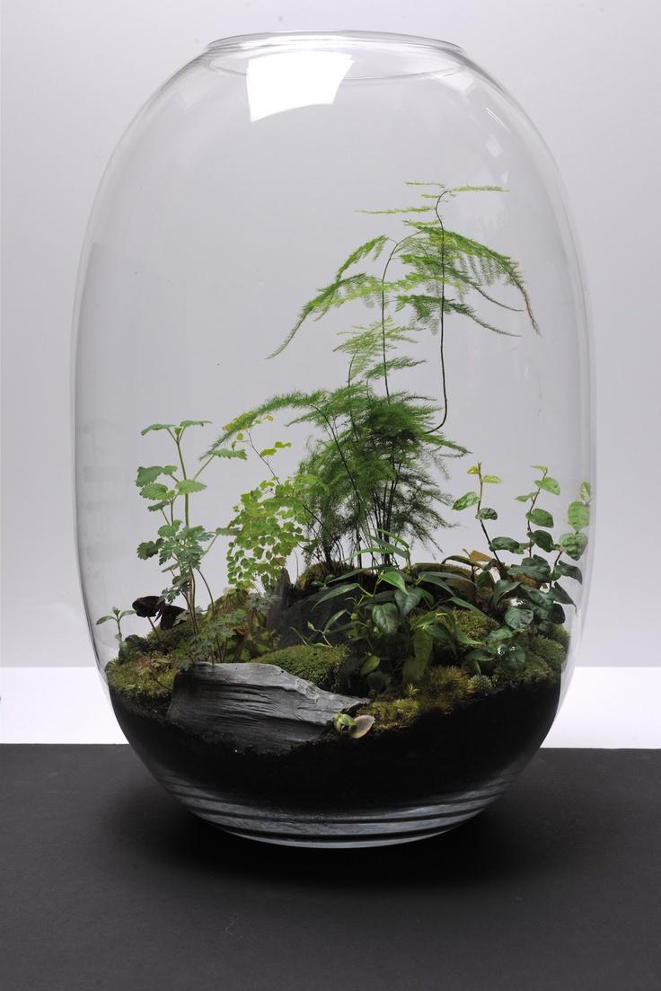 Terrarium_13