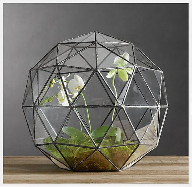 Terrarium_18