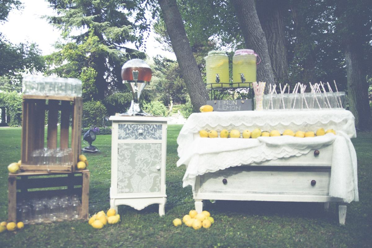 colores-de-boda-24-puesto limonada