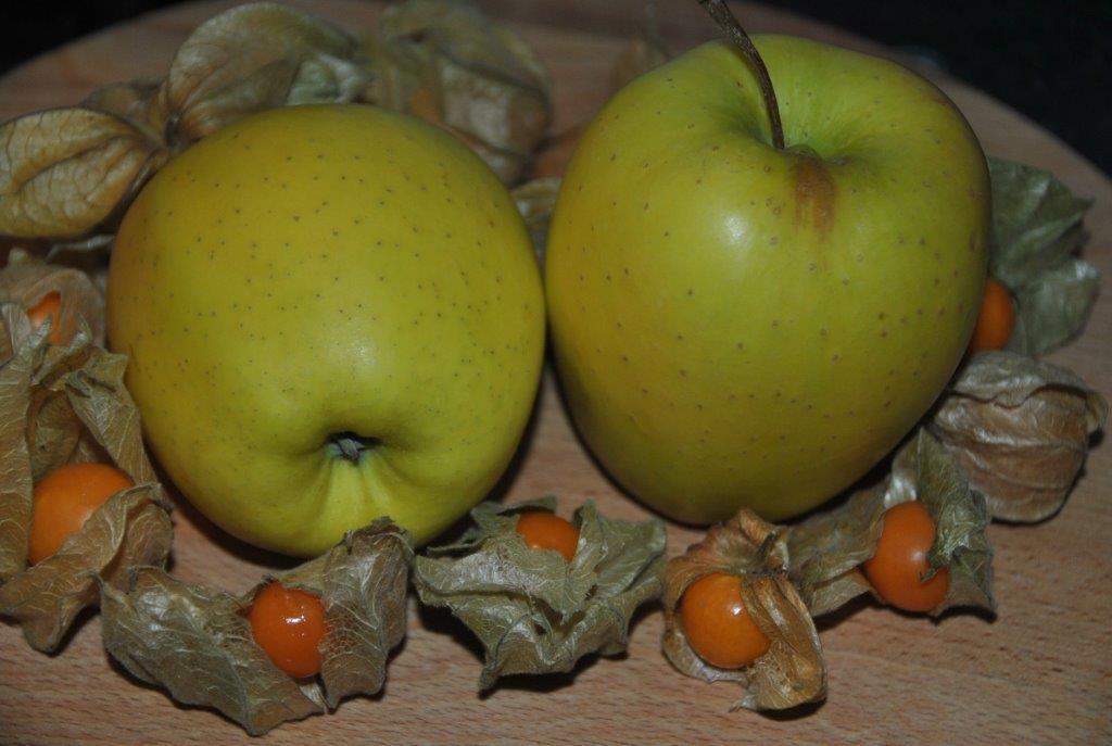 doradas chutney de manzanas physalis