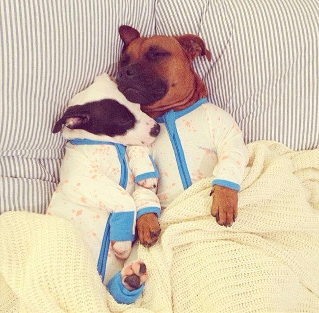 como tener la casa caliente en invierno 11