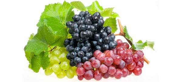 grapes-bunches_570