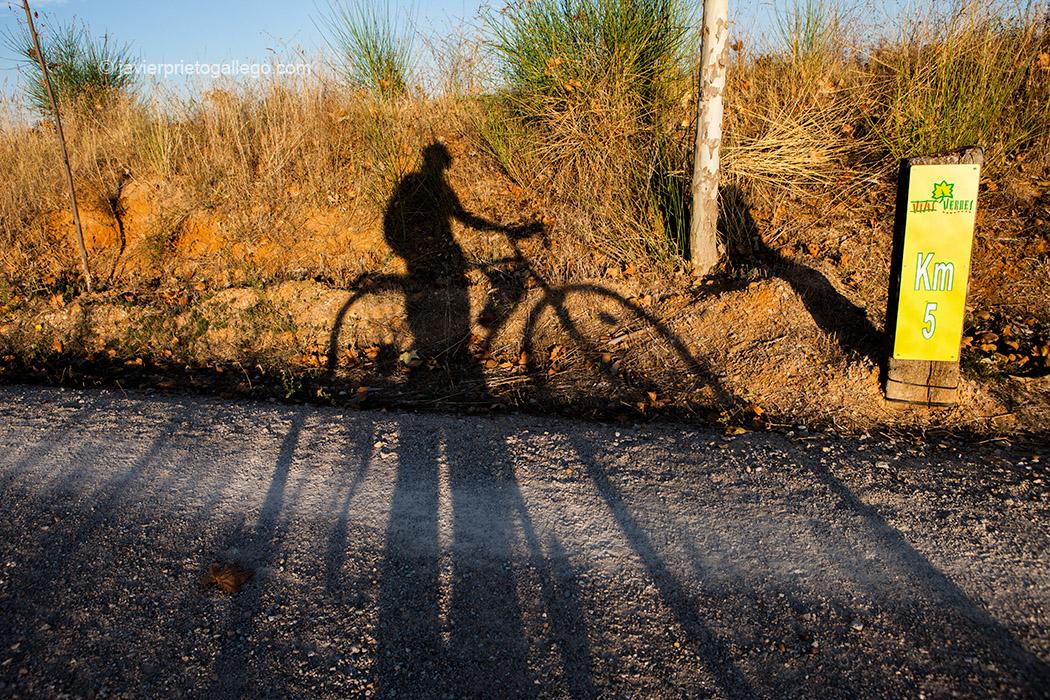 Sombra de un cicilista que recorre la Vía Verde del Esla, entre Castrofuerte y Valencia de Don Juan. León. Castilla y León. España © Javier Prieto Gallego;