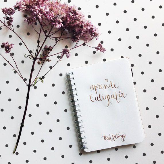 c65024f6cb31913800917f3e8bec4b66-2