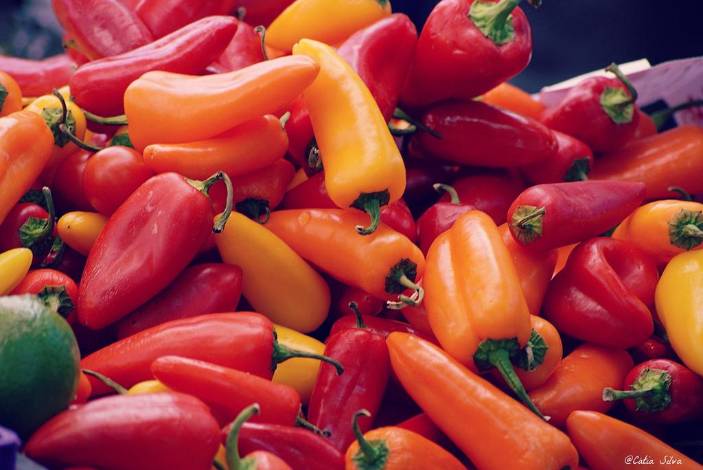 Mercado Central de Valencia (2)