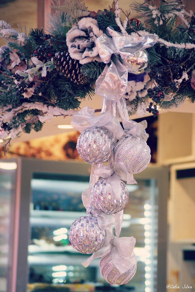 Mercado Central de Valencia (8)