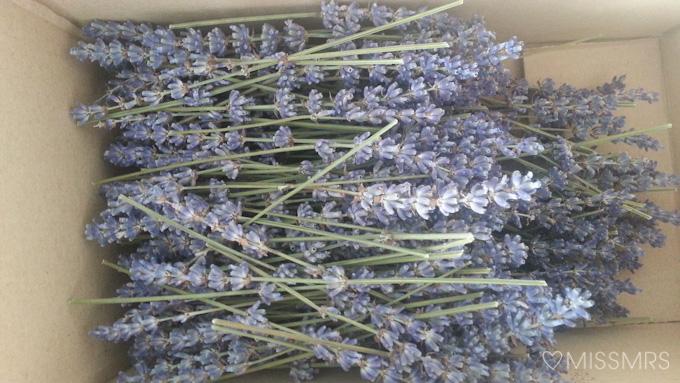 Invitaciones MissMrs 2015-3-2