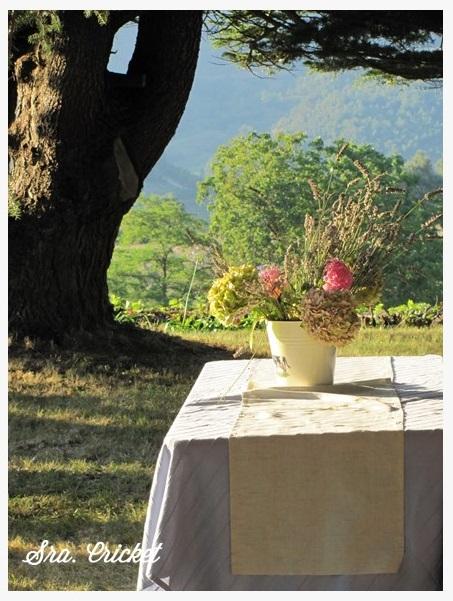 bautizo en el campo 4