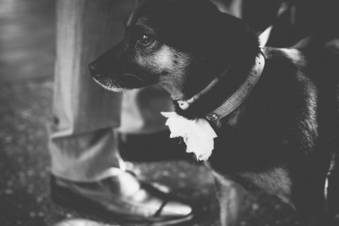 flareproject_vintagewedding_28