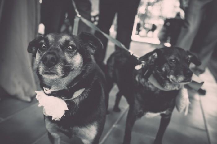 flareproject_vintagewedding_29