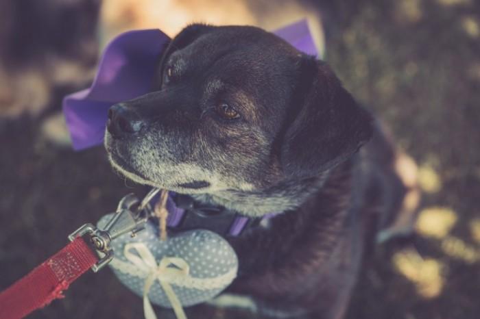 flareproject_vintagewedding_42