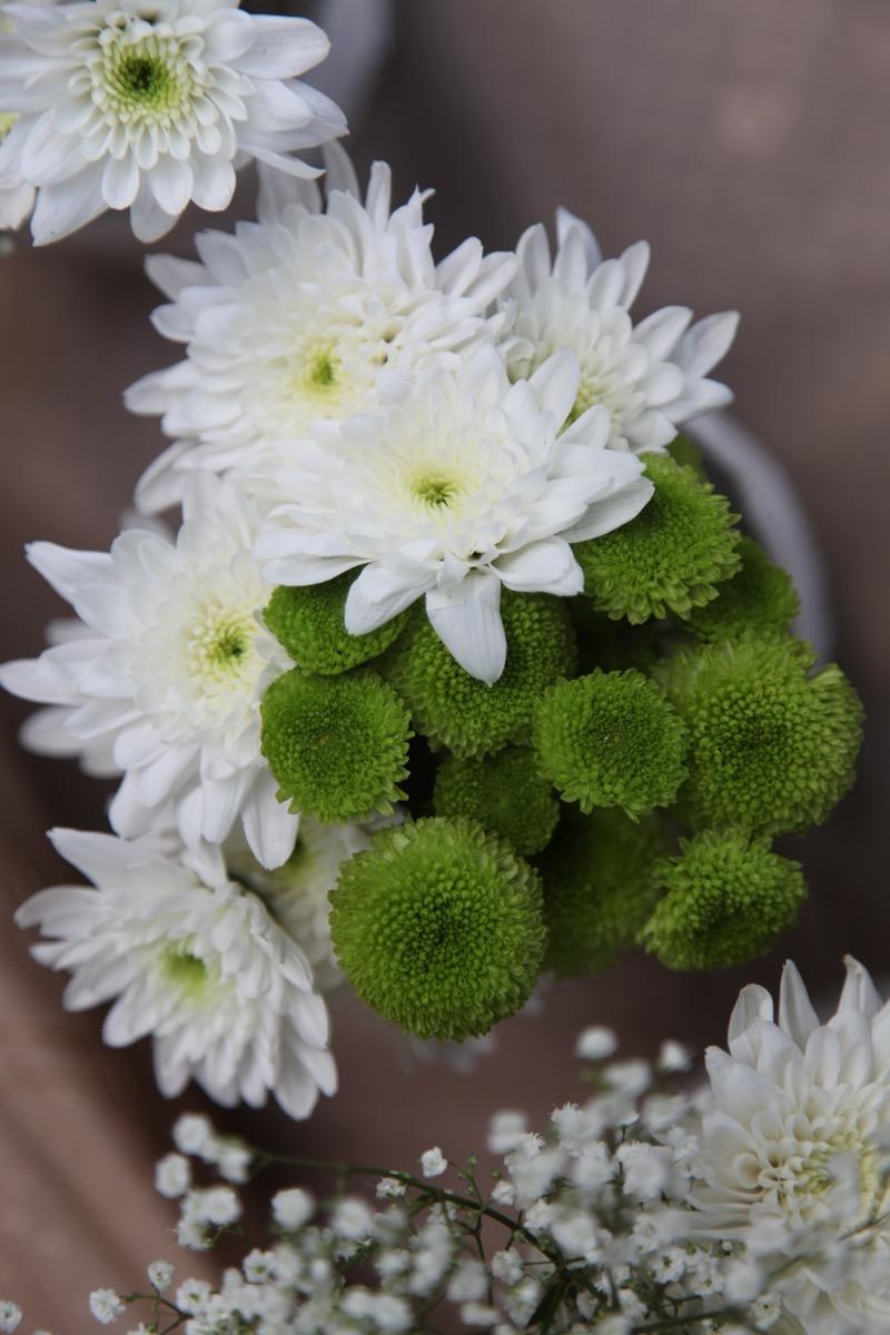 colores-de-boda-8-bienvenida-botes-margarita-laura-cesar