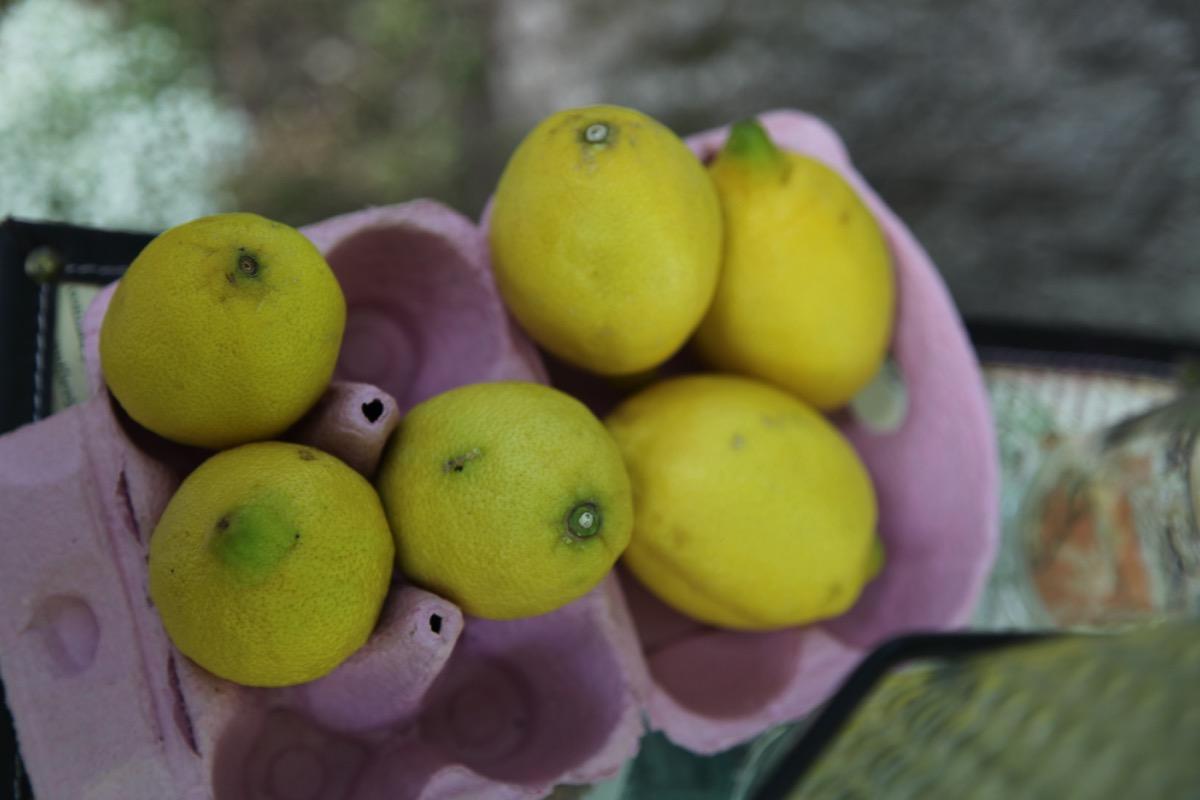 colores-de-boda-8.2-puesto-limonada-limones