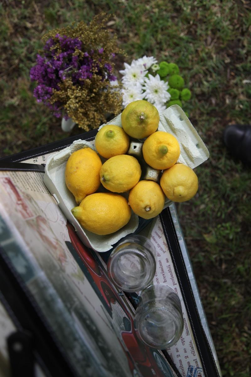 colores-de-boda-8.6-puesto-limonada