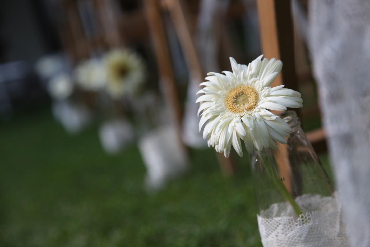 colores-de-boda-11-pasillo-nupcial-botellas-gerbera-laura-cesar