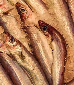 síndrome del control de la natalidad