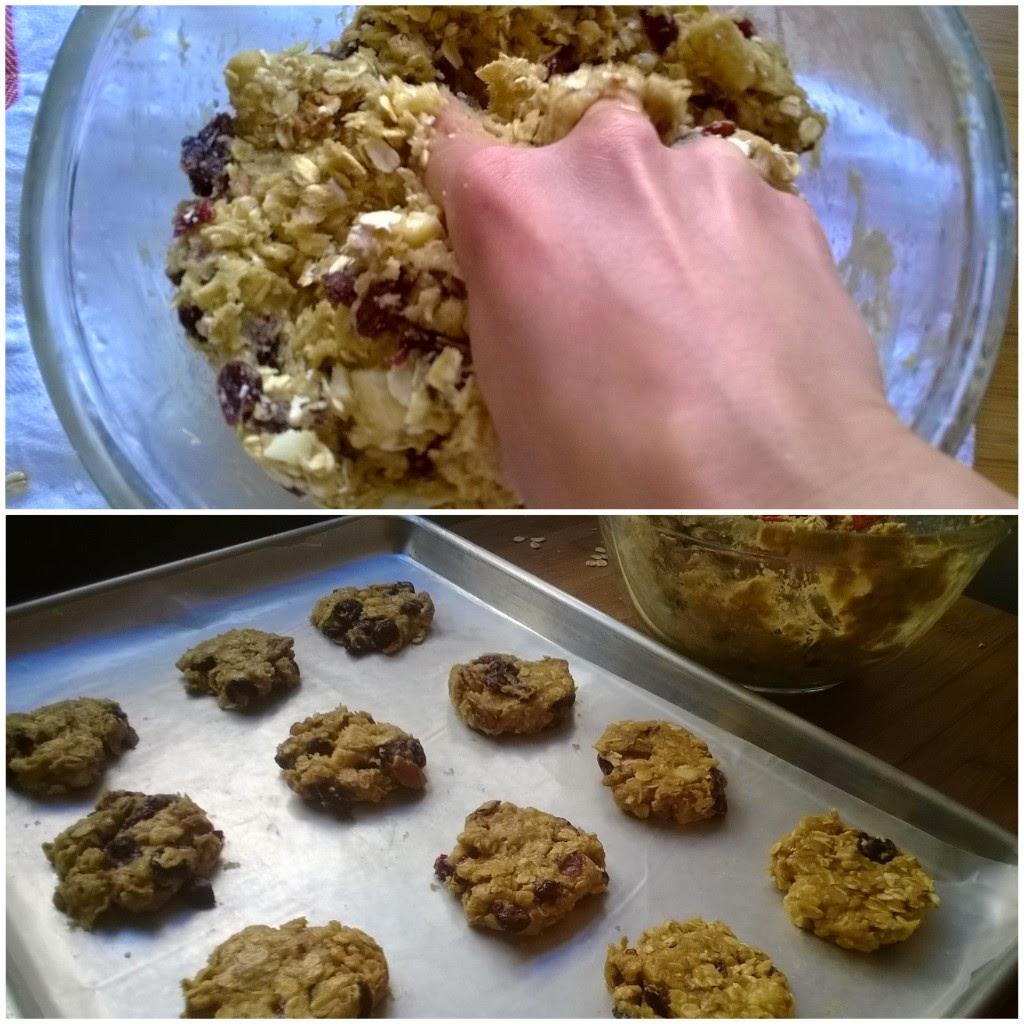 Galletas de Avena con Chocolate Blanco Bajas en Grasa | Bruni