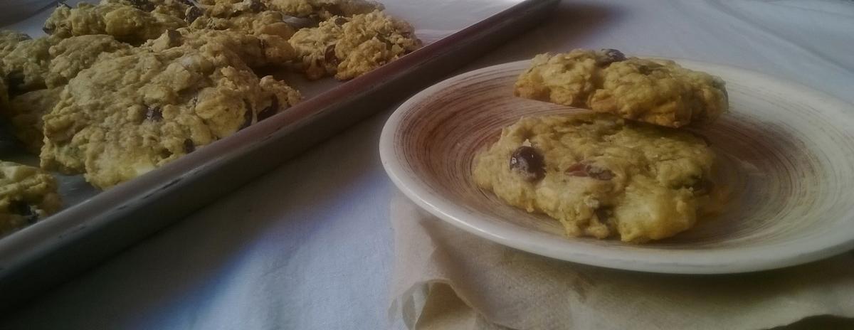 Galletas de Avena con Chocolate Blanco Bajas en Grasa | Bruni