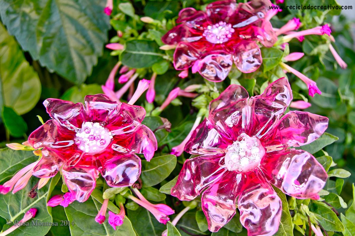 Rosa Montesa Upcycling Reciclado