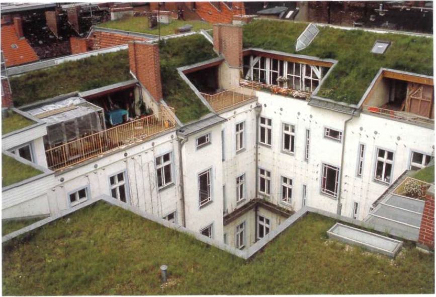 Pisos con techos verdes.