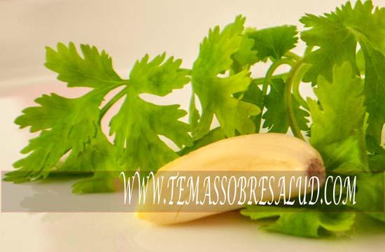 el cilantro y sus beneficios para la salud