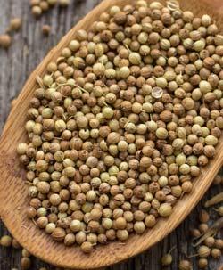 20 propiedades: el cilantro y sus beneficios para la salud