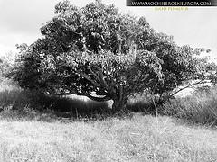 Ruta Los Fortines del Ávila al atardecer
