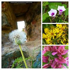 Ruta Los Fortines del Ávila al Atardecer
