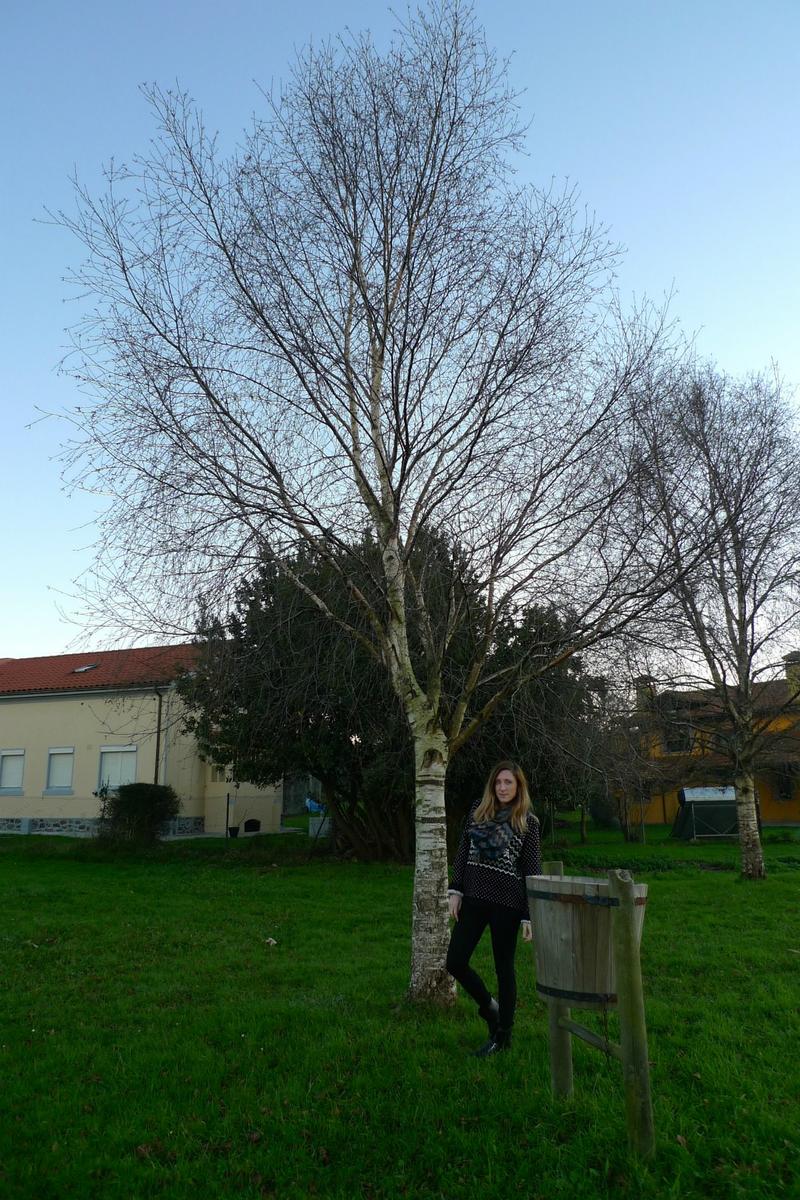 christmas jersey livelovepolly by paula casielles tt