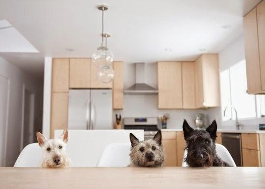 antes-despues-cocina-escandinava-before-after-kitchen-scandinavian-style